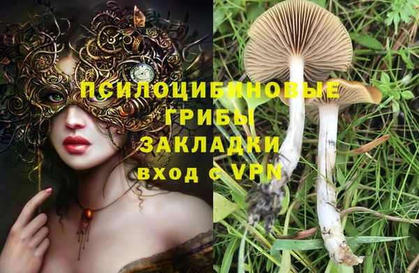 а пвп мука Инсар