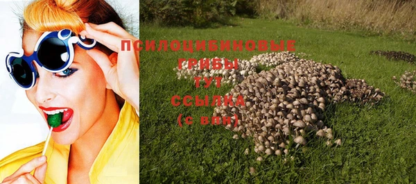 круглые Каменка