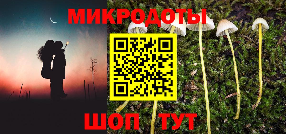 Псилоцибиновые грибы Psilocybine cubensis  Вход с VPN  Кирово-Чепецк 